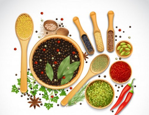 قارچ های دارویی